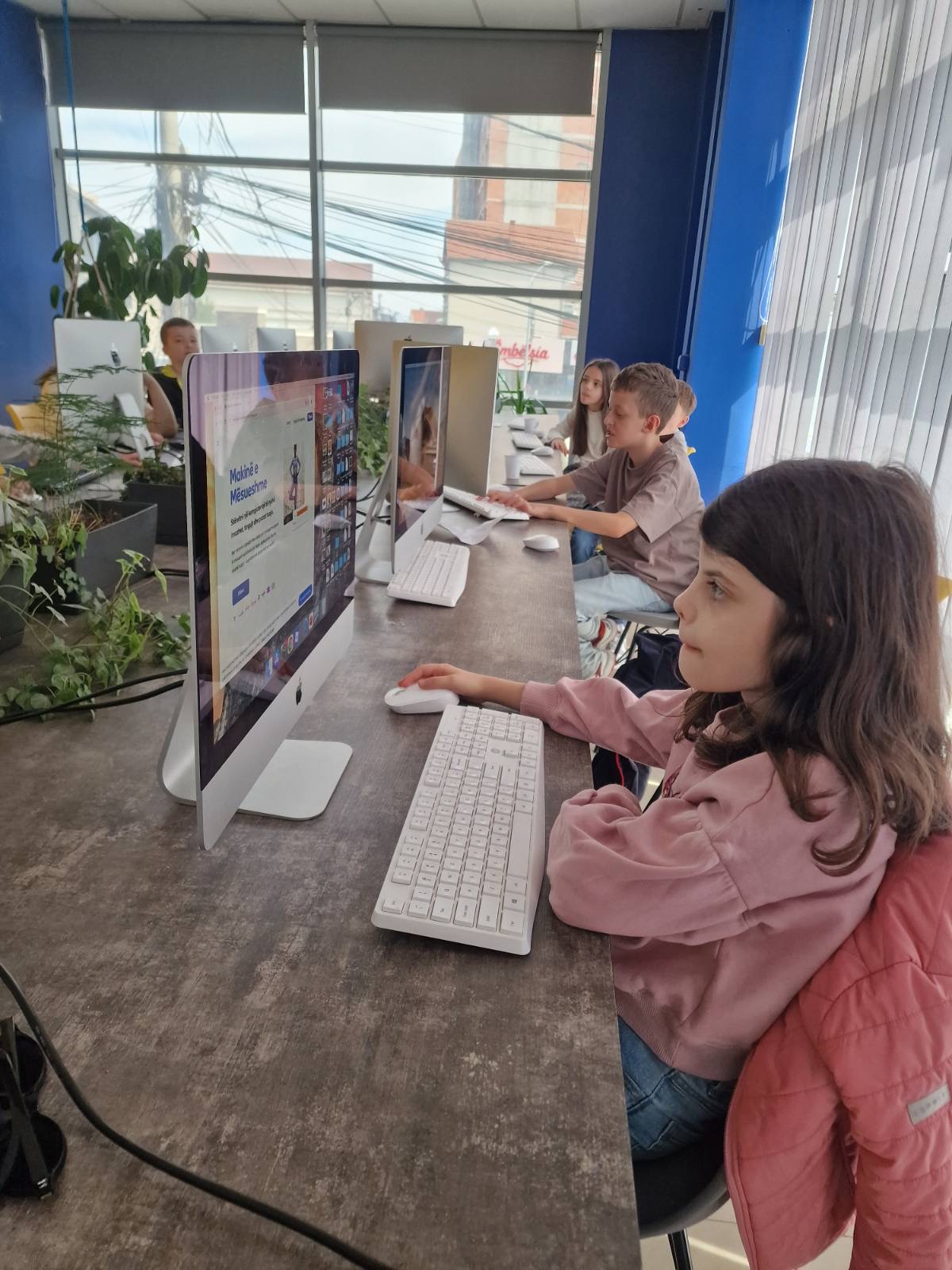 Momente nga workshop-i